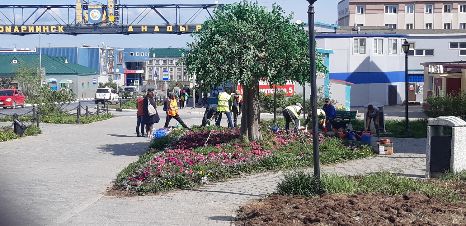 Муниципальное предприятие городского округа Анадырь «Городское коммунальное хозяйство» продолжает кампанию по озеленению города. 